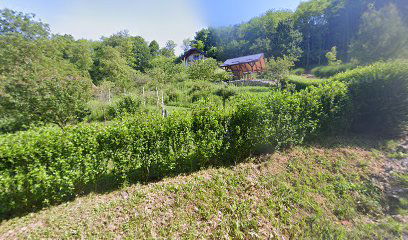 Kuća za odmor/Holiday House Green Oasis