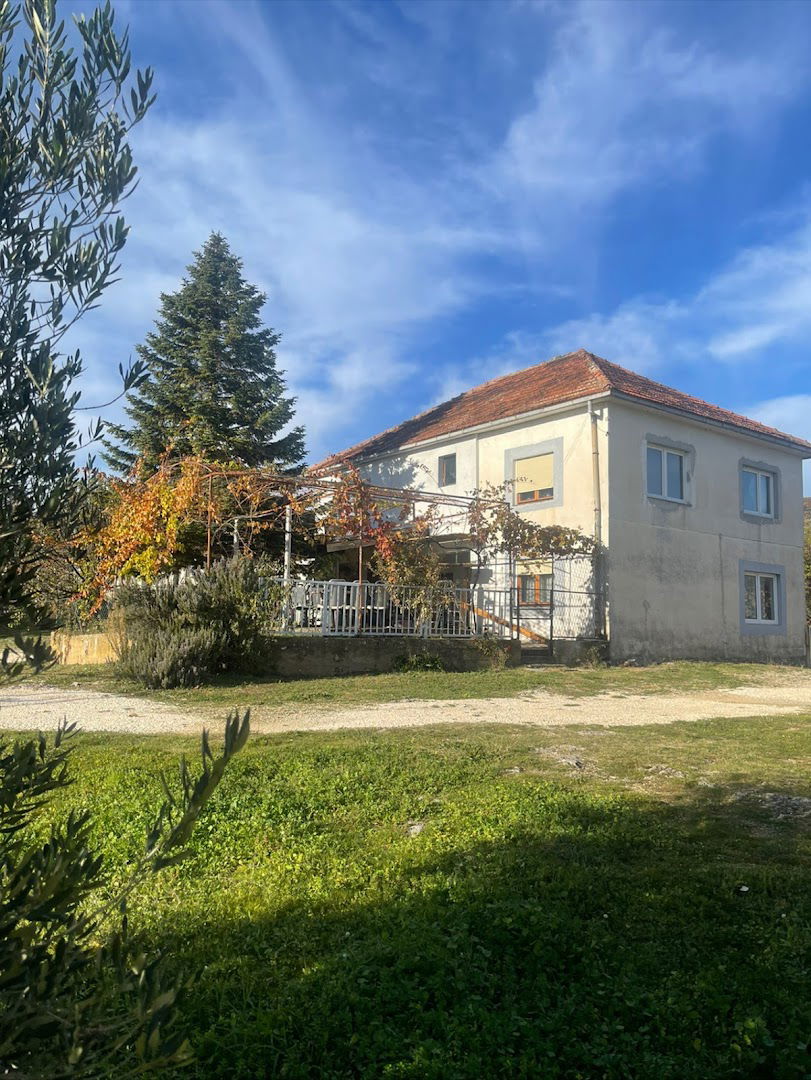 Vladimir Vlado Zovko