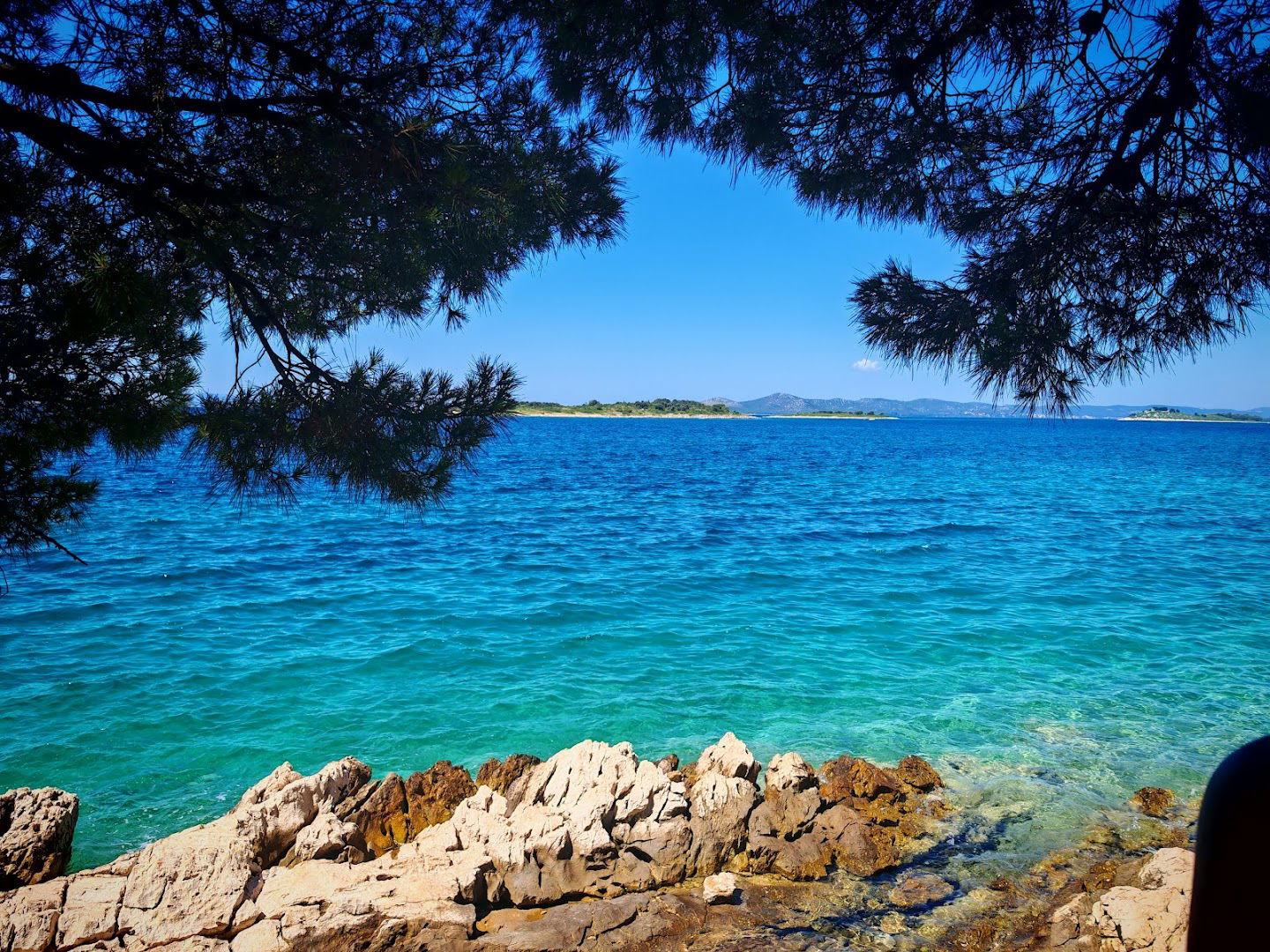 Divlja plaža, Drage