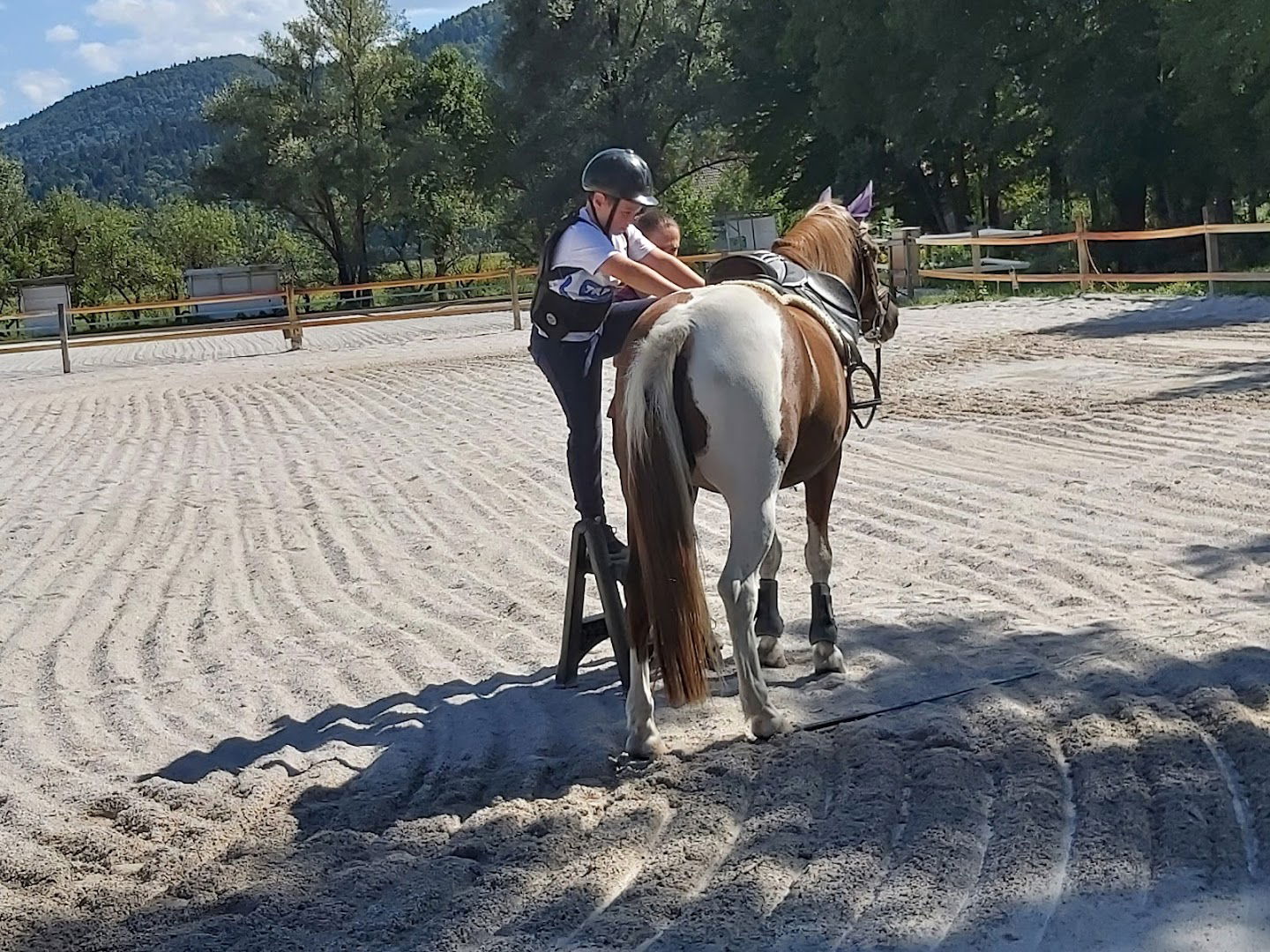 Simon Jurečič - Nosilec dopolnilne dejavnosti na kmetiji, posestvo Jurečič