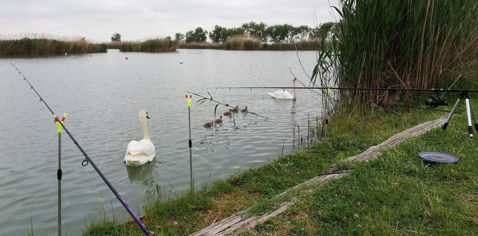 Језеро Бели Багер