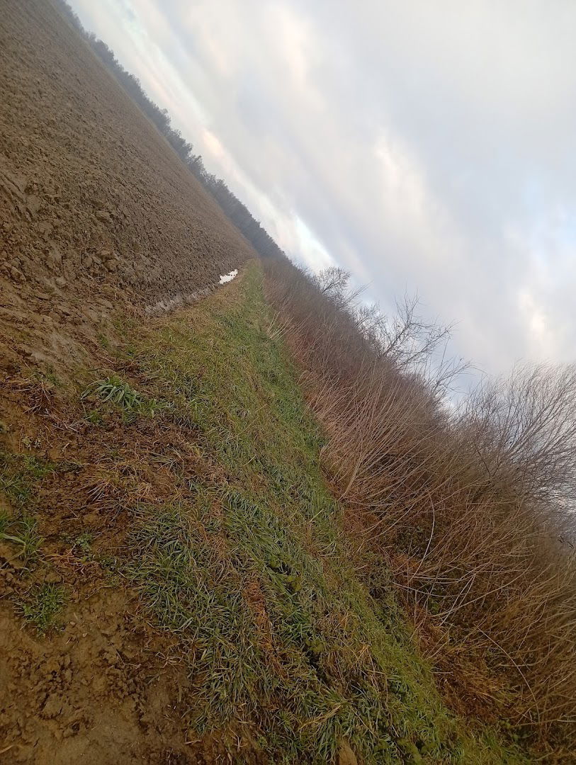 JC ZELENO obrt za usluge