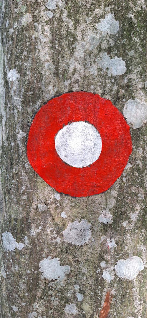 Planinarska staza Brusevi