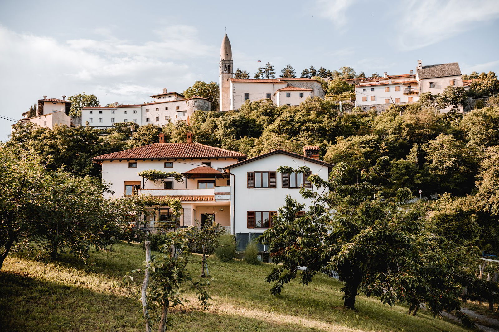 Vina Kobal / Štanjel, Kobal Family Estate