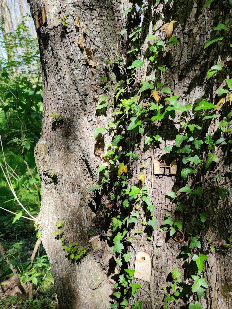 Borostyán Tündér-lak