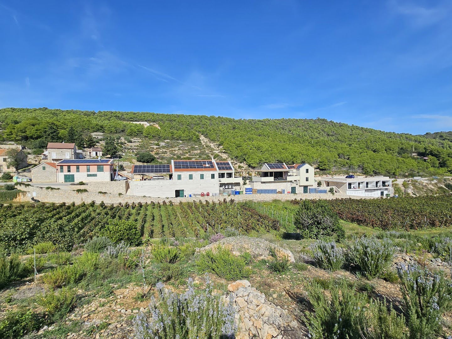 Vislander vinarija&destilerija