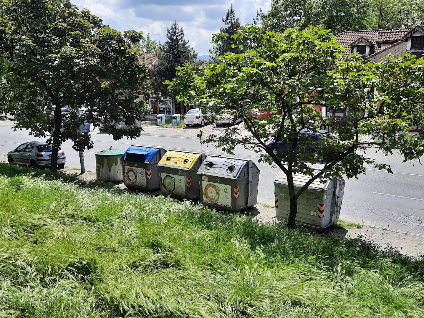 Pilota Mihajla Petrovića