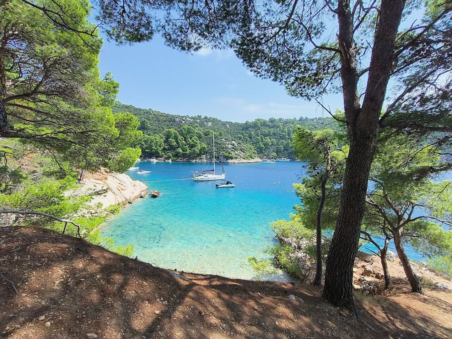 Uvala Dida pere guzicu