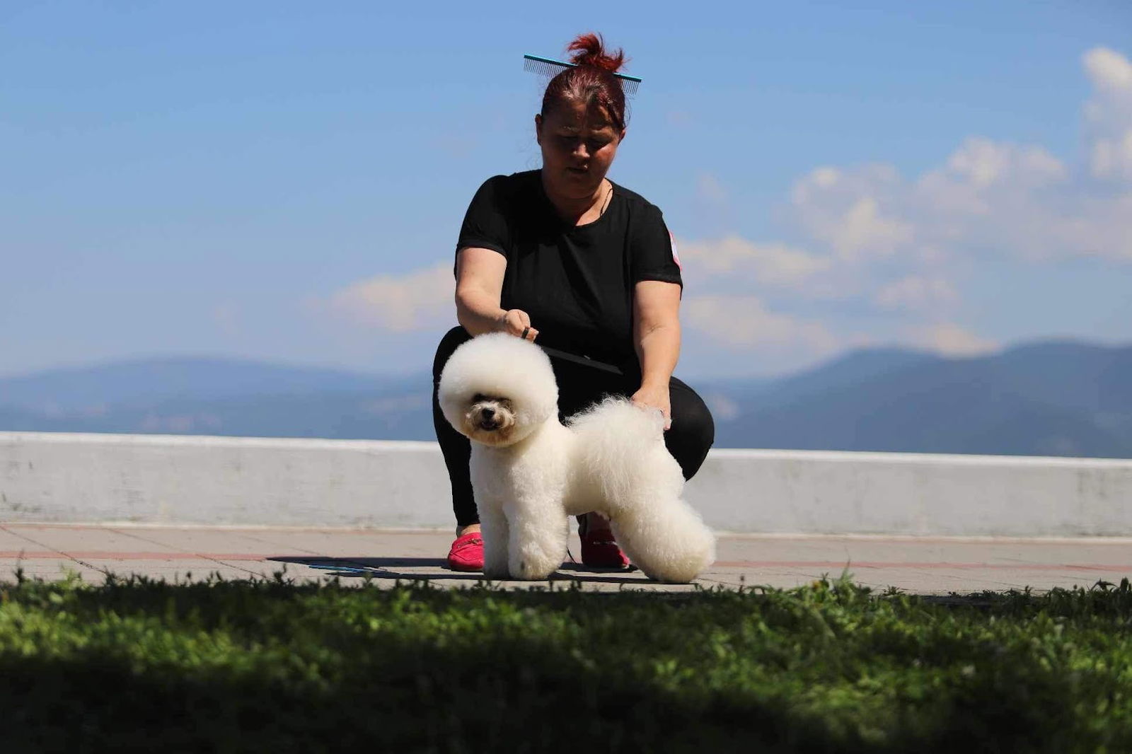 Pretty Walker kennel