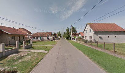 Galakticka kornjaca - drveni dekor