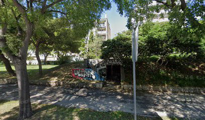 Blue Bird - Web Design