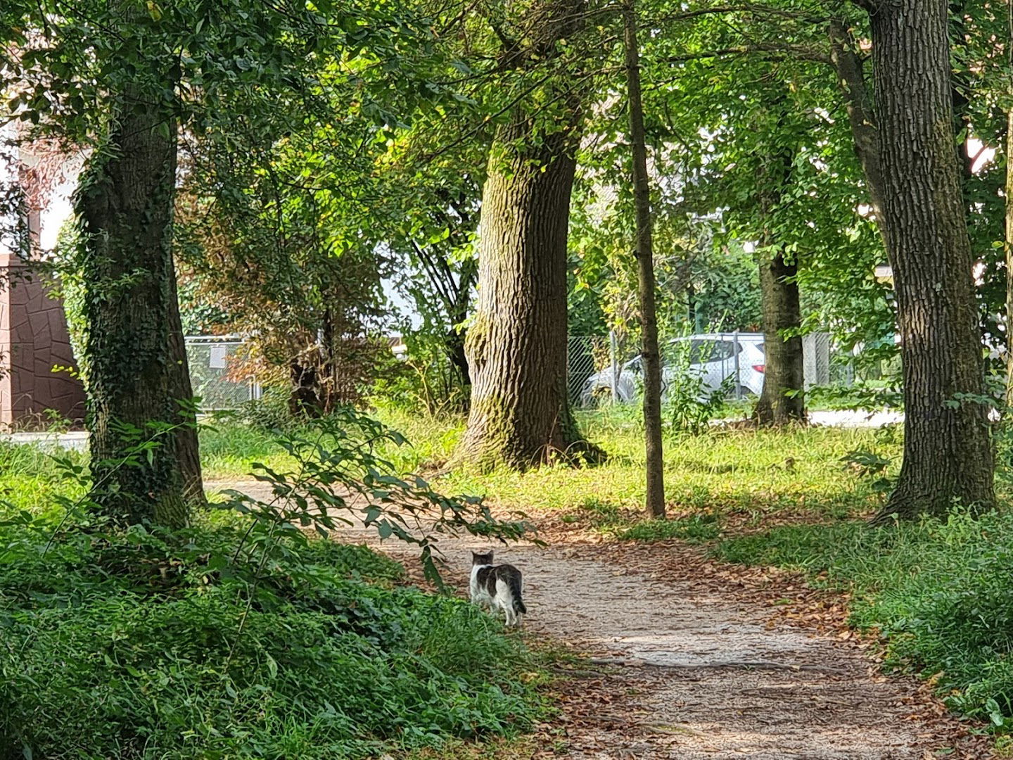 "Gozdiček"