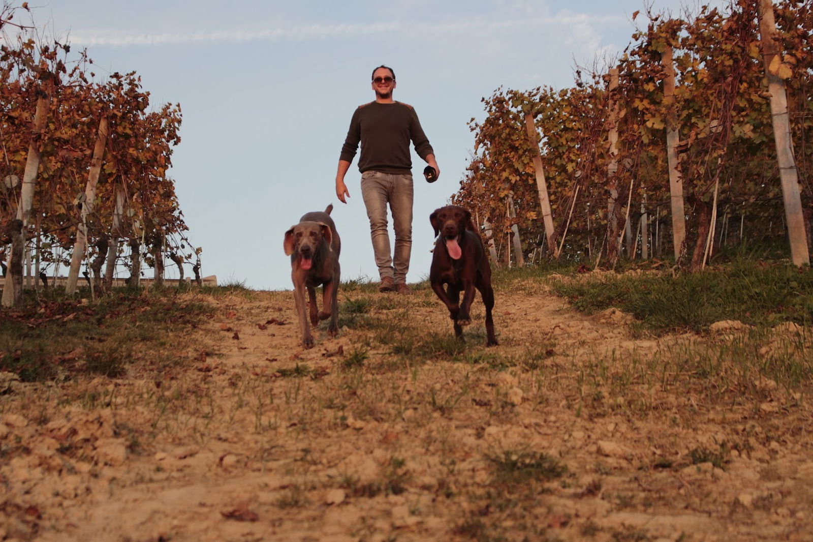Paradiis Azienda Vitivinicola