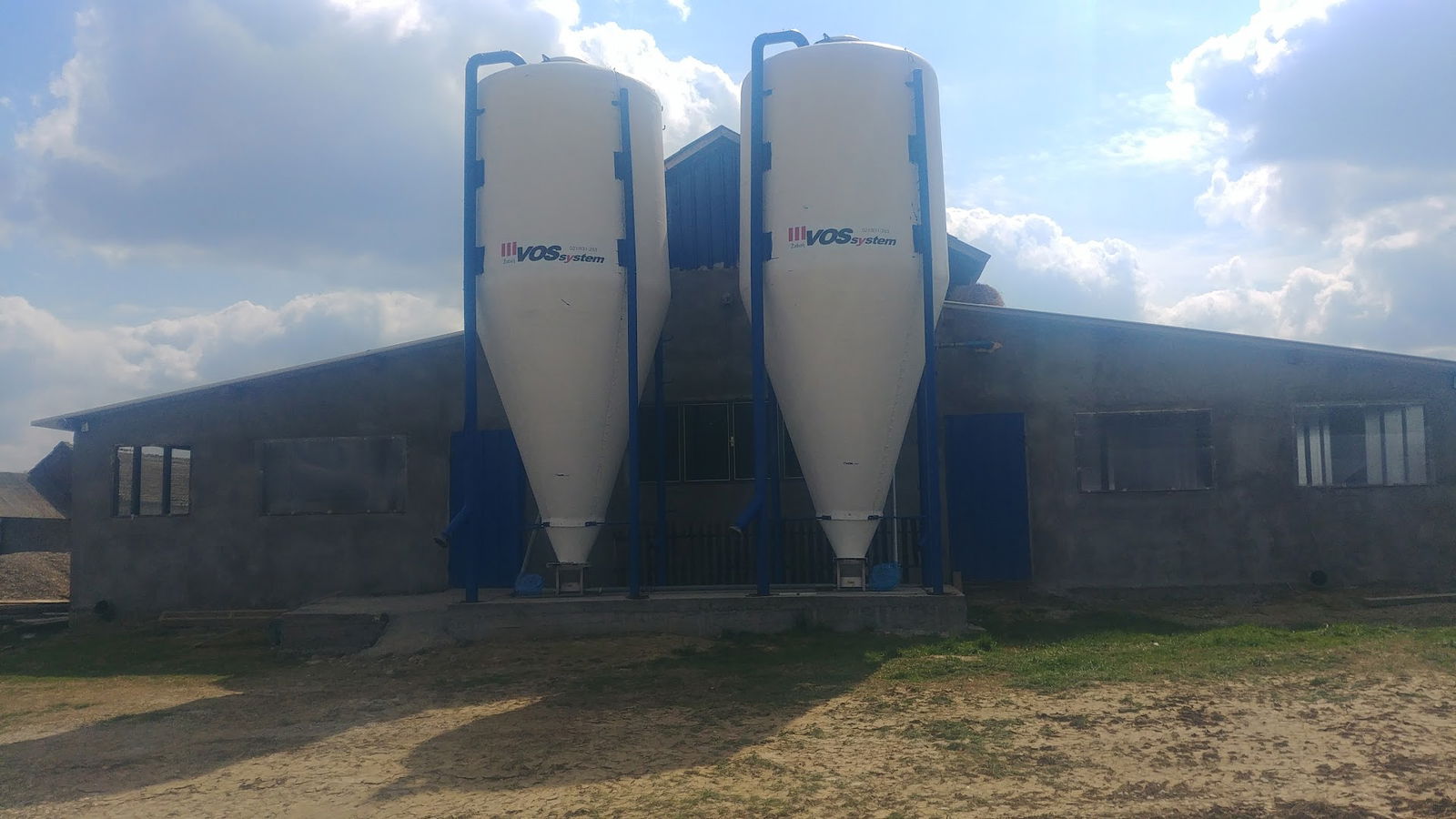 Petrović uzgoj svinja