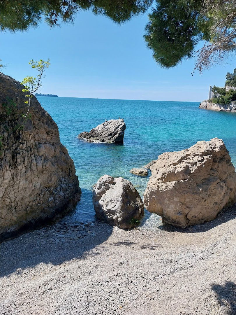 BIOMA - BIOdiversitario MArino