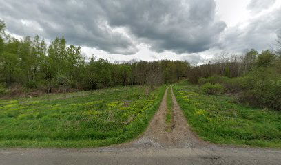 Old cemetery Donji Kukuruzari