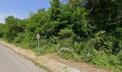 Csányoszró, Vajszlói elágazás [5]