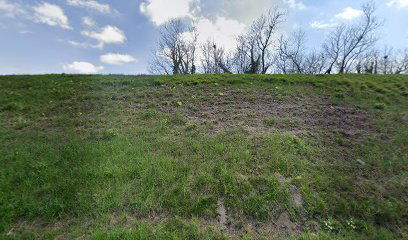 Ansa Tagliamento di San Mauretto/ Ansa dal Tiliment San Maurut