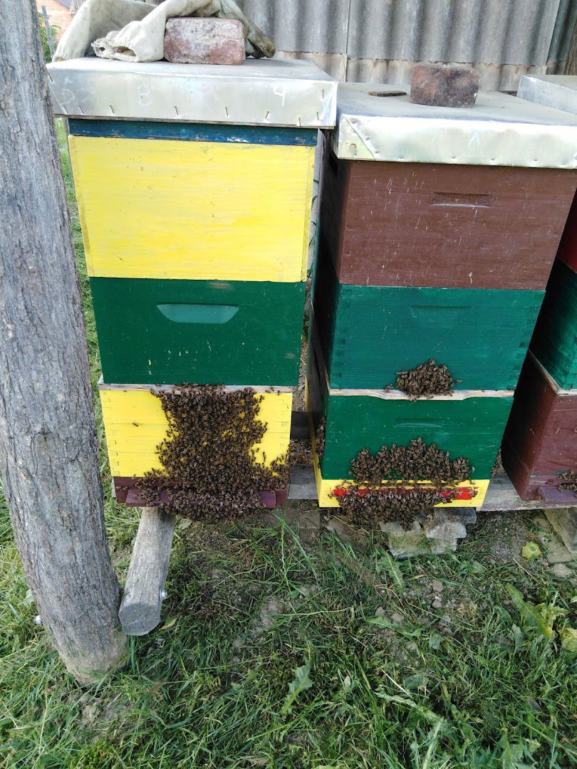 OPG Brezjan - Pčelarstvo