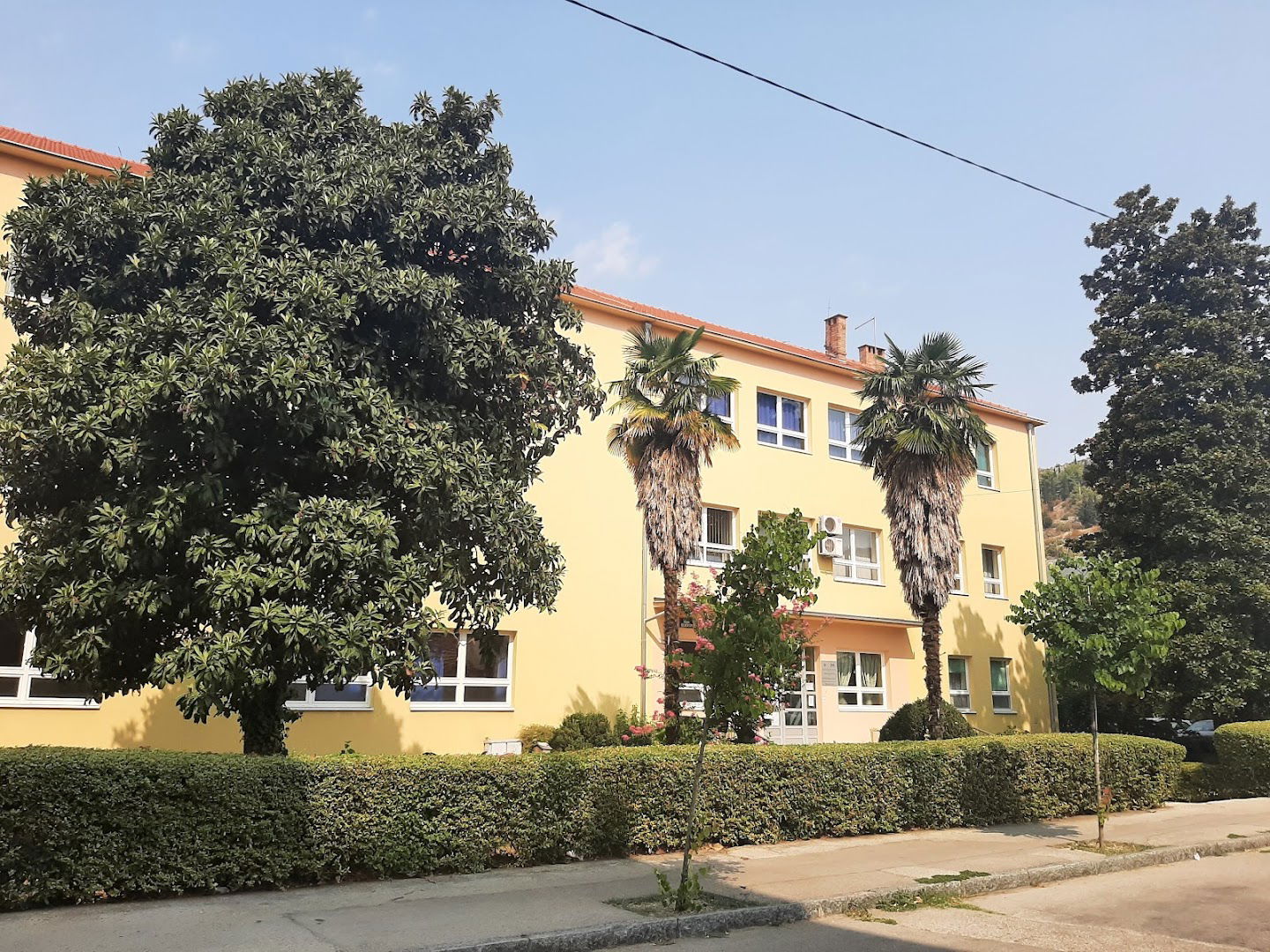 Osnovna škola Vladimira Pavlovića