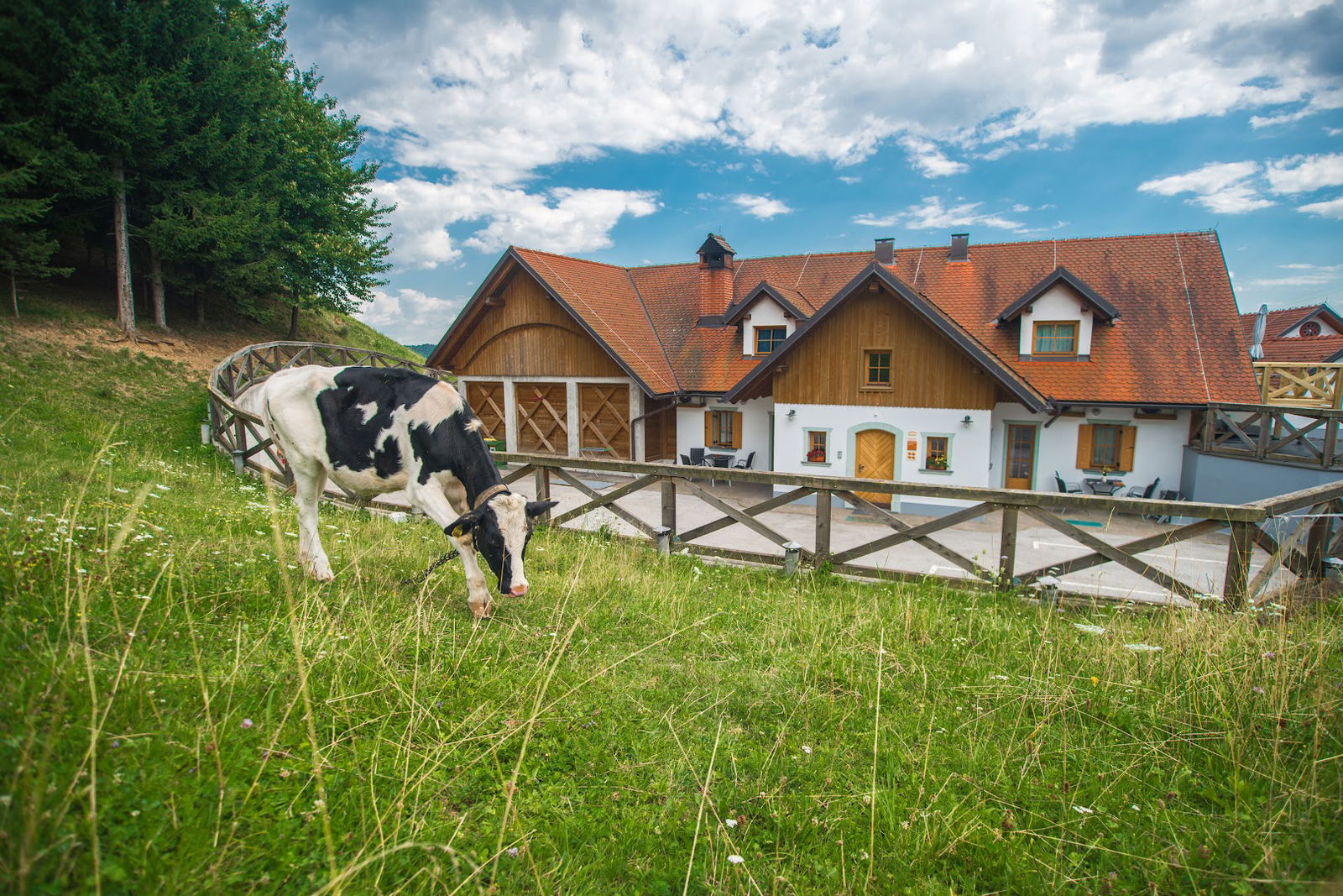 Tourist farm Matijovc