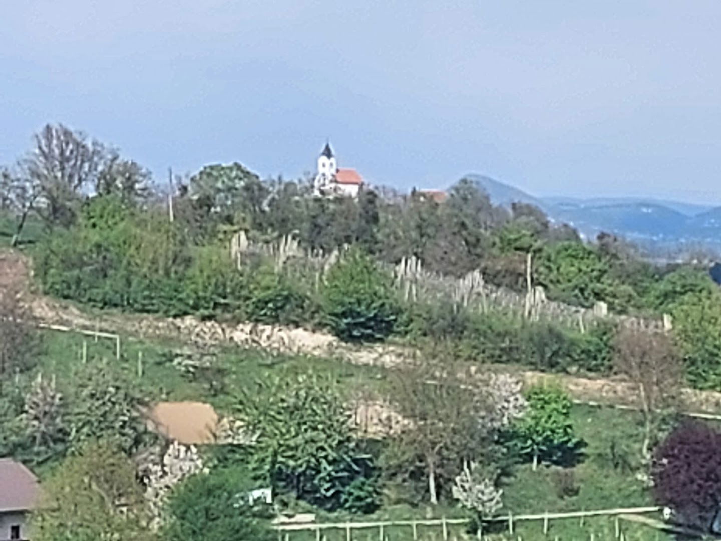 Cerkev Svetega Križa