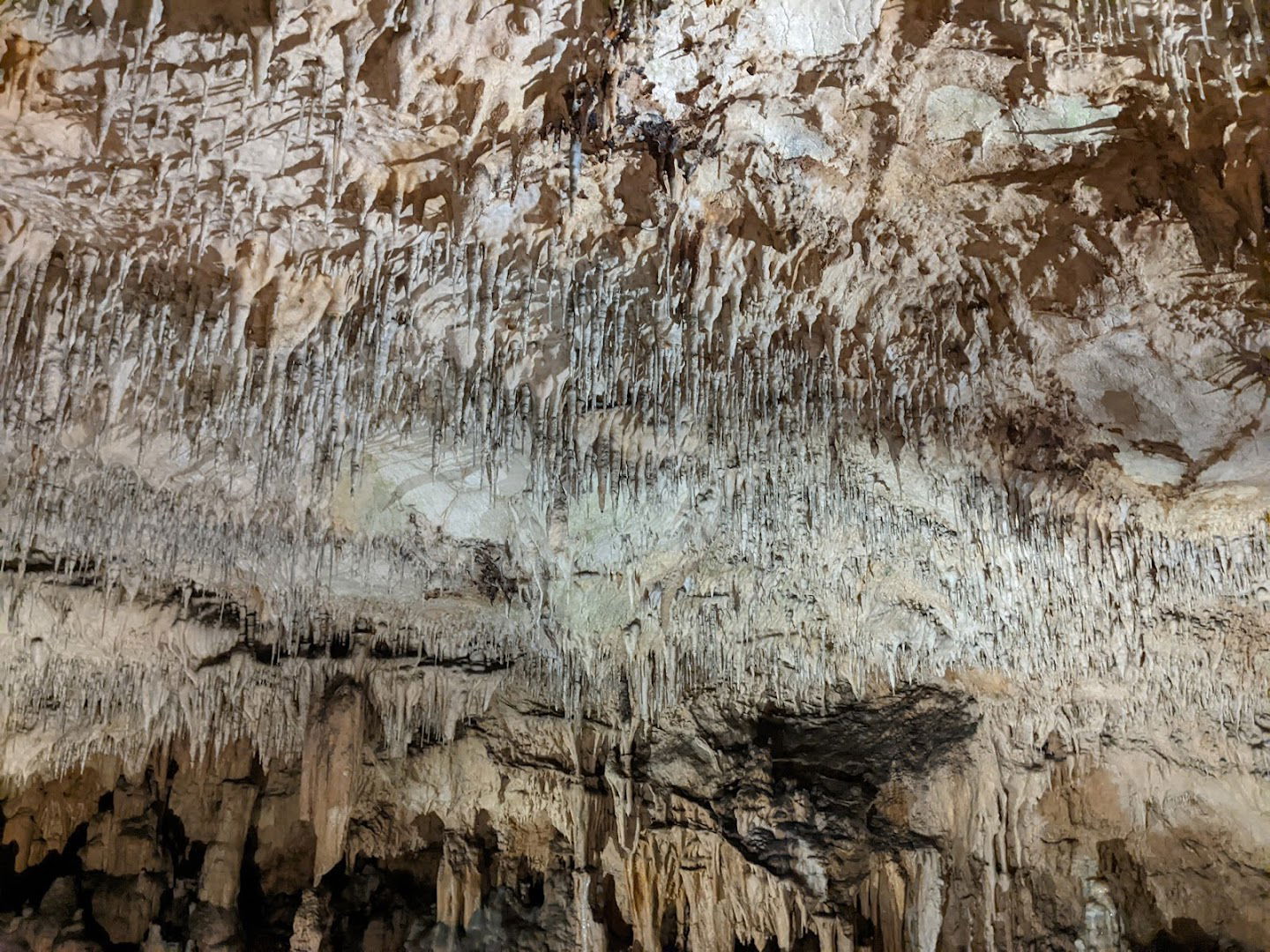 Biserujka parkiralište