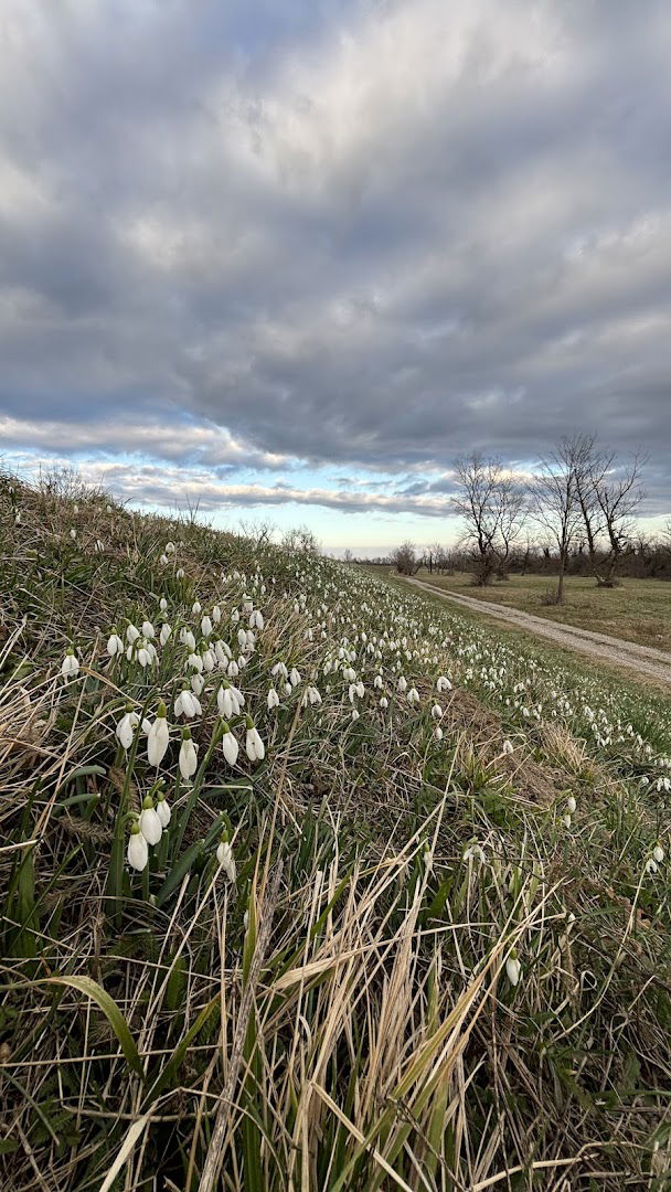 Vodocrpilište Petruševec