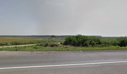 Car Internation Bozic