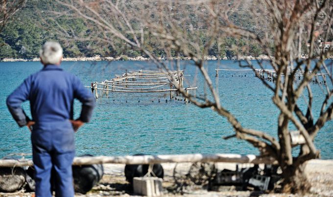 ŠKOLJKARSTVO MAŠKARIĆ-SIGE