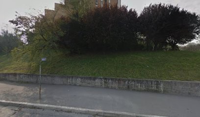 Vitezova Karađorđeve zvezde