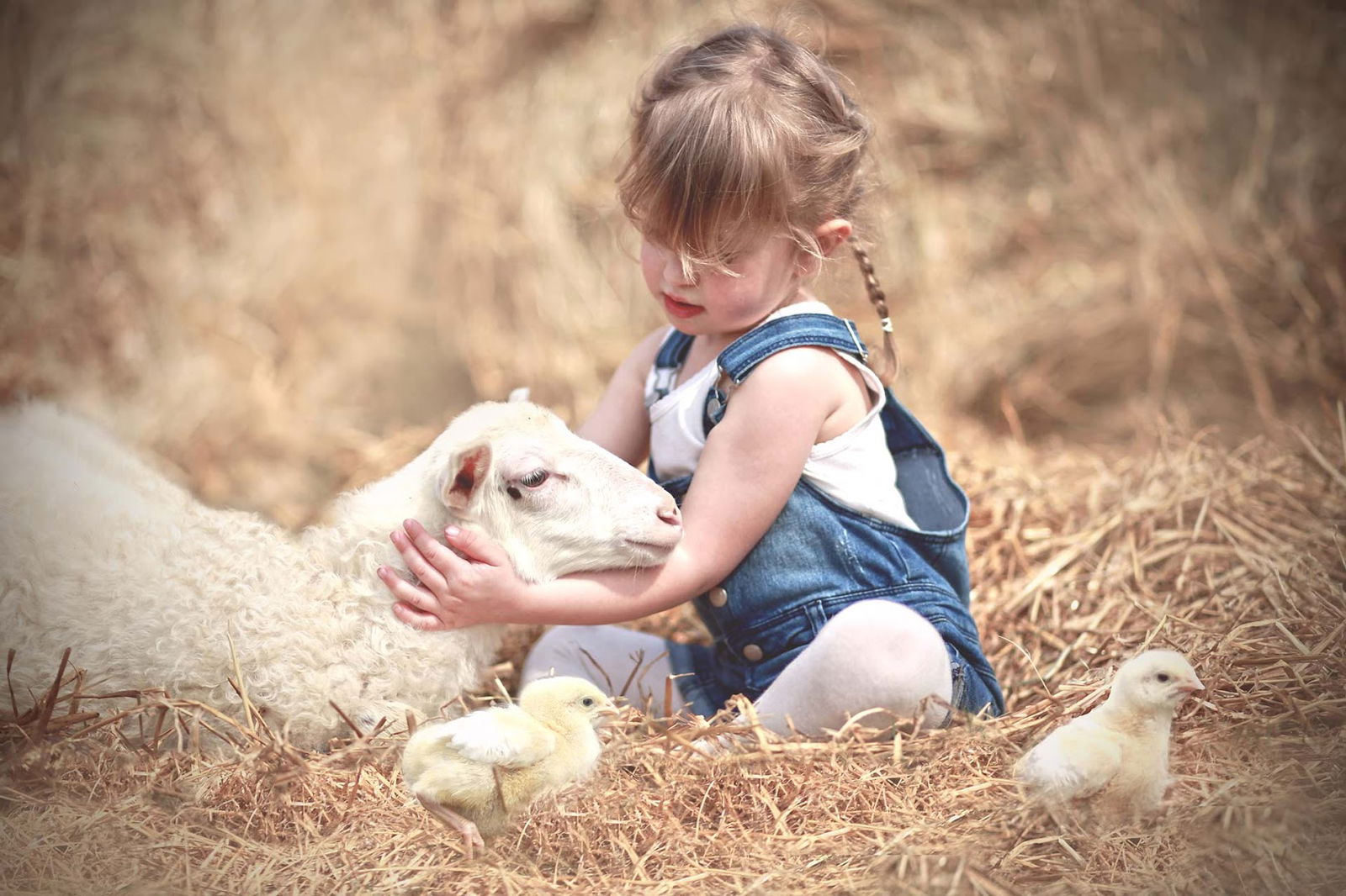 Fattoria Didattica Asino Berto - Azienda Agricola Kmetija Antonic - Spaccio prodotti