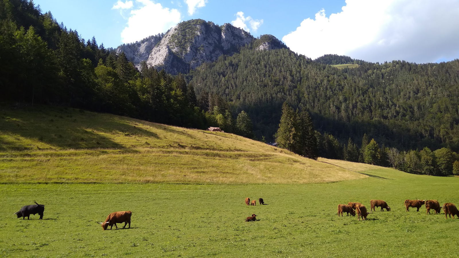 Logar Pro, trgovina na debelo s kmetijskimi stroji, d.o.o.