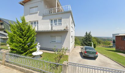 LIKOVNA UDRUGA - RUŽA