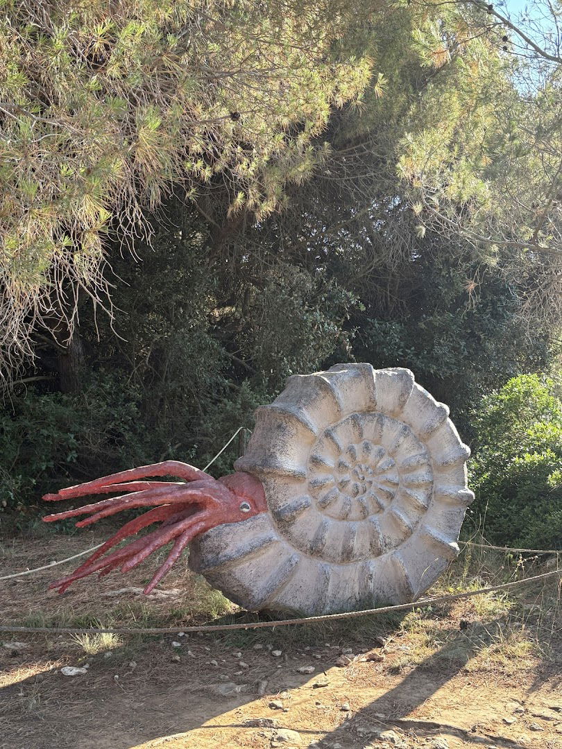 Ammonite Sculpture
