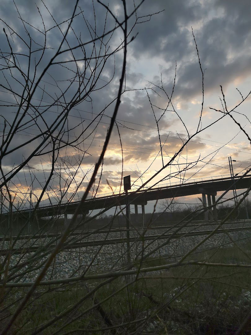 Лисопољски надвожњак