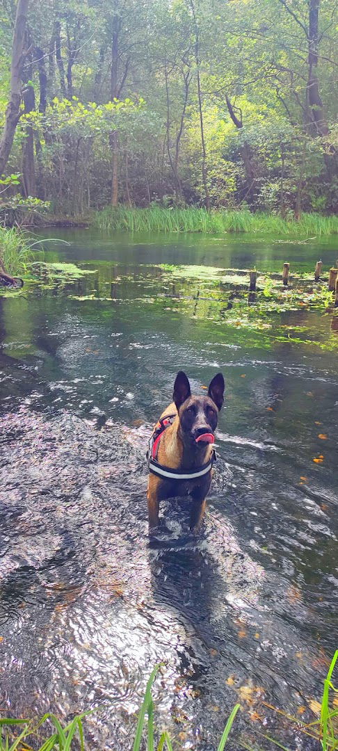 Struga, Regionalni park Mura - Drava