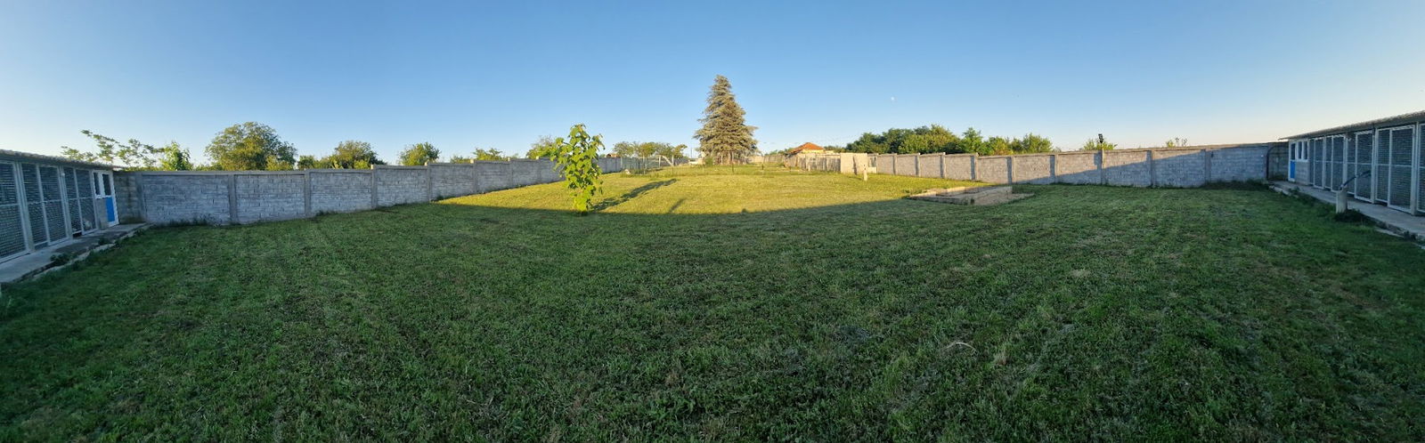 Pansion za pse Maxima lux Beograd