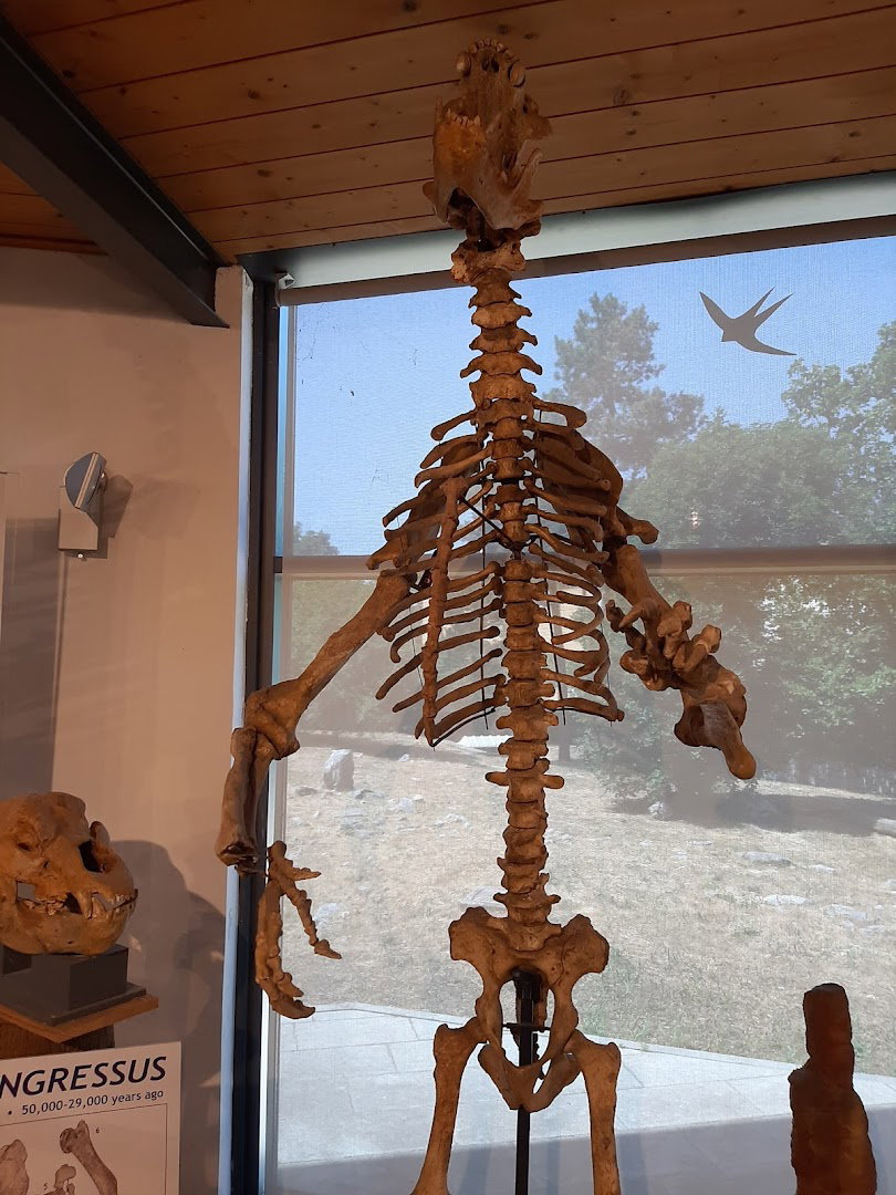 Museo Scientifico Speleologico