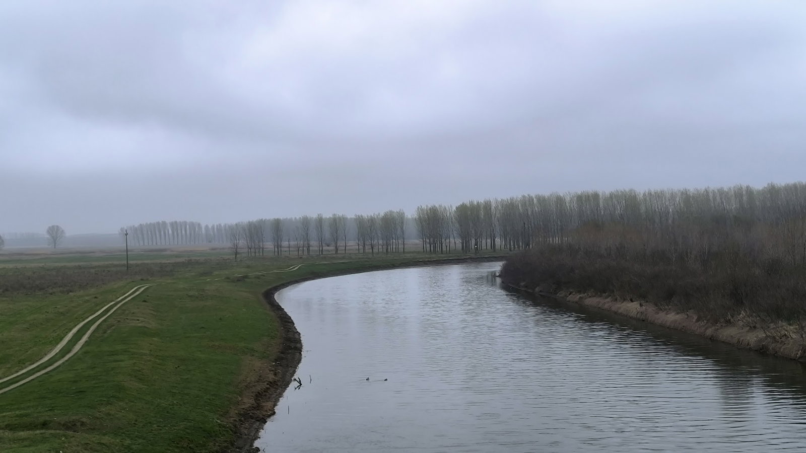 Farkaždinska šumica