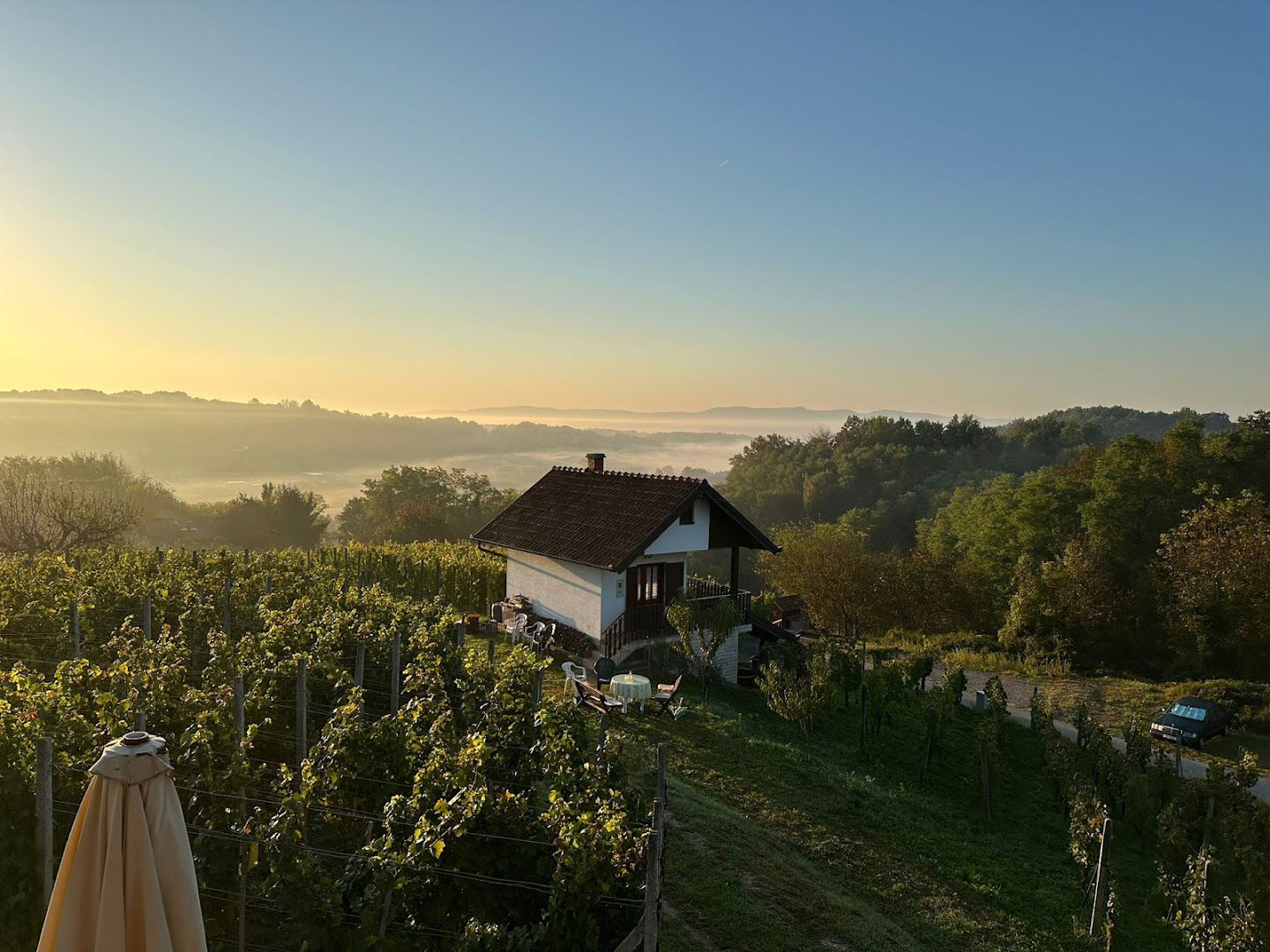 Arany wine Vinotheke