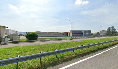 Thermo International (S.R.L.)