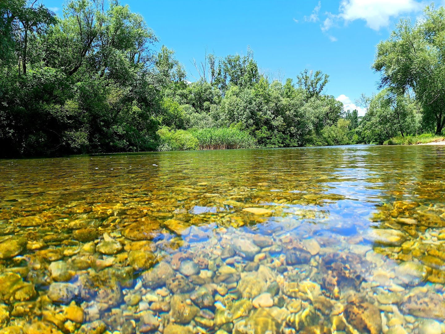 Blato Na Cetini cemetery