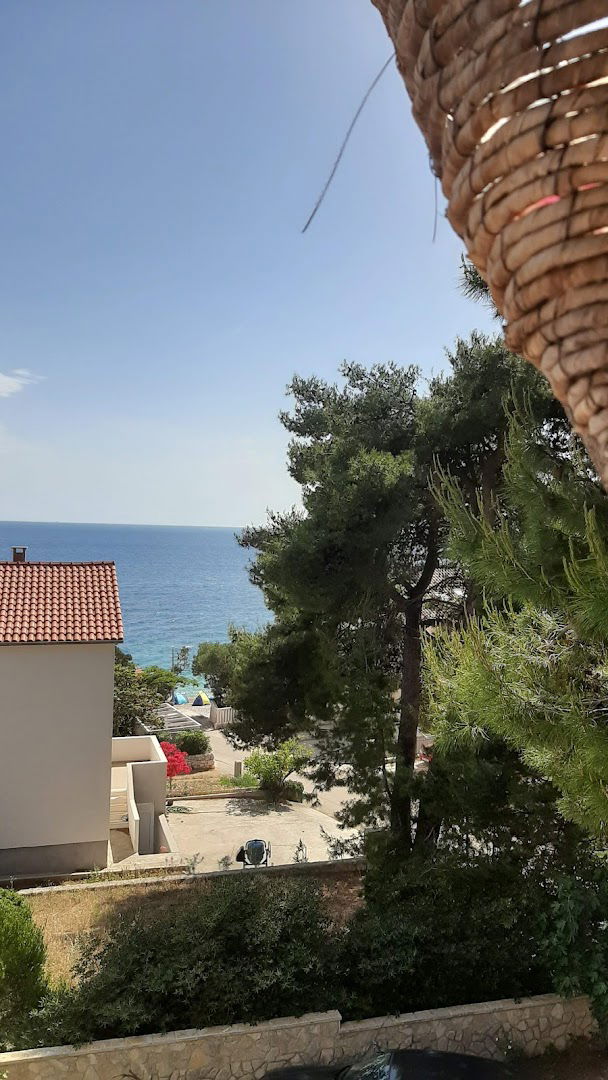 Ana Plenković-Pandol