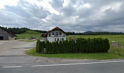 Računovodske in poslovne storitve Maja Pavčič s.p.