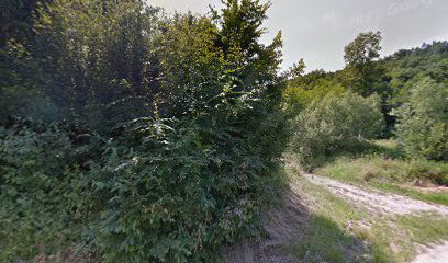 Izvor Topčiderske reke