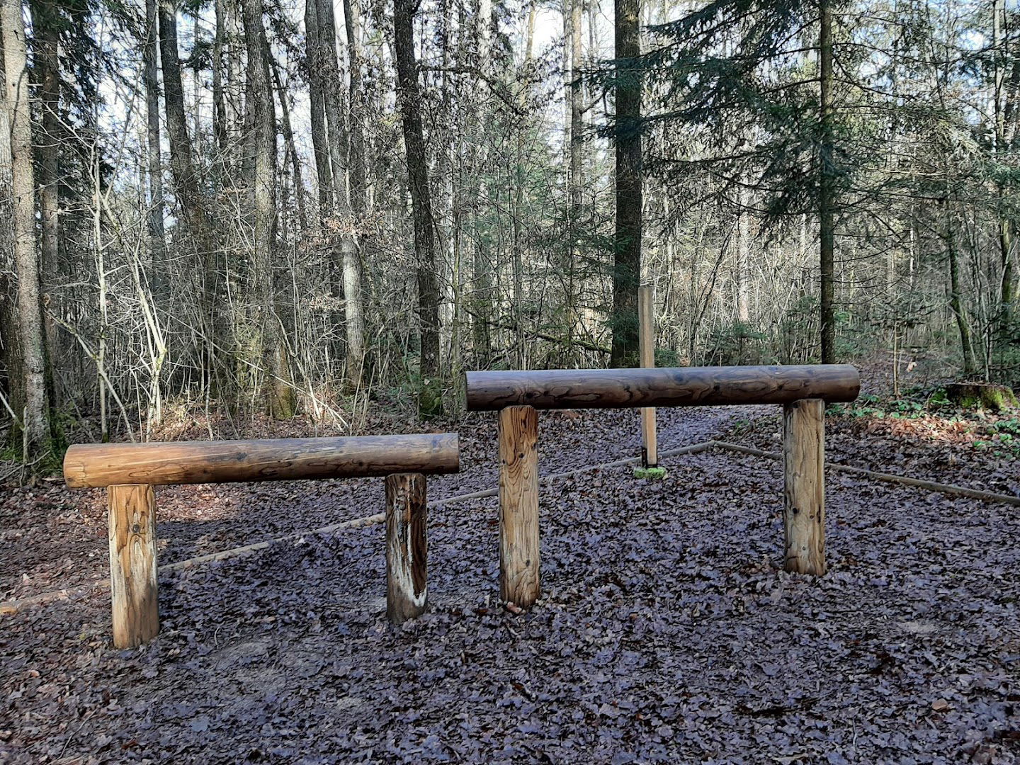 Gozdna učna pot Vražji Kamen