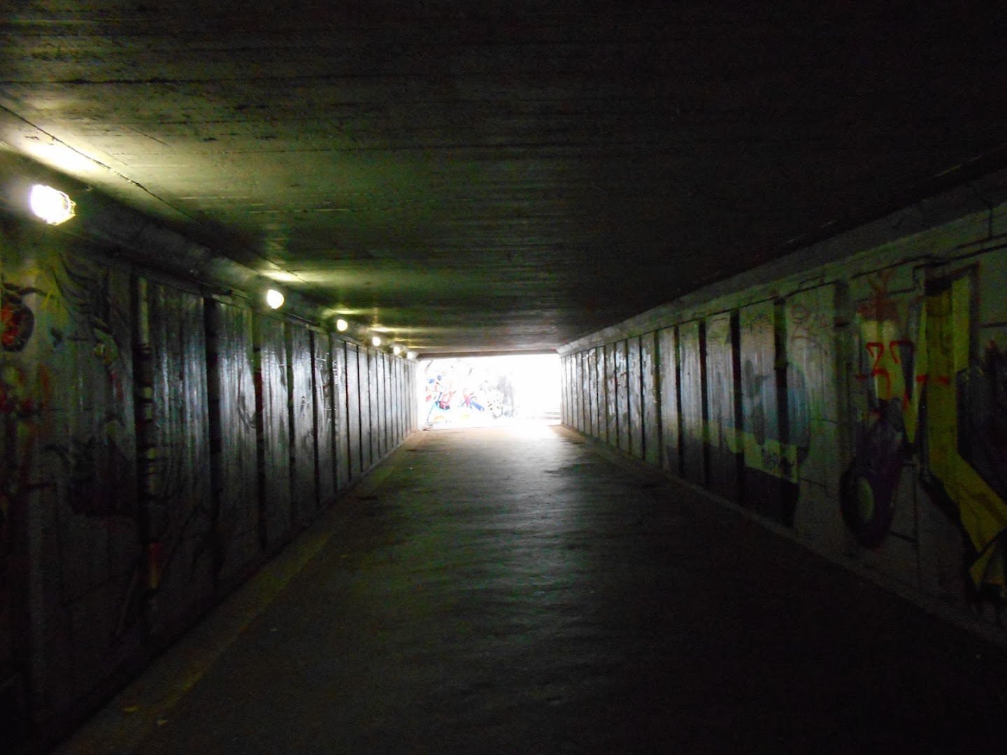 Podzemni prolaz Tošin Bunar