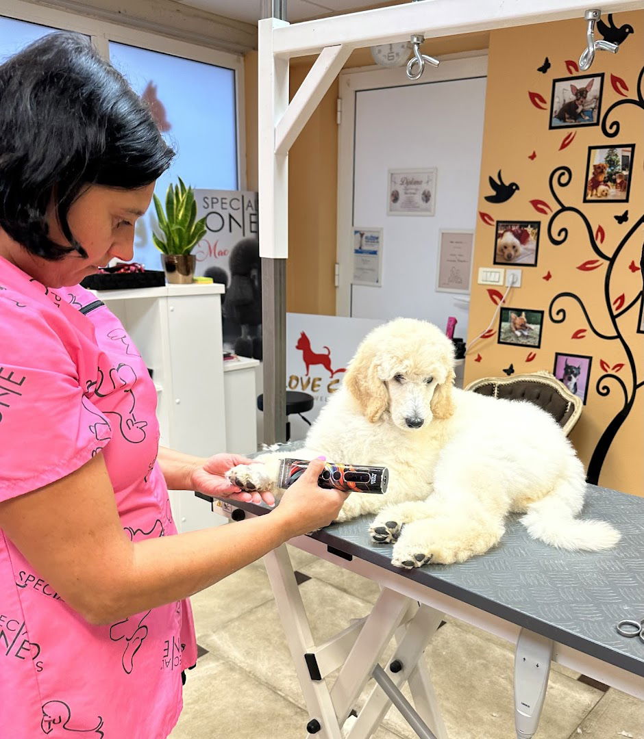 Love Cani Pets Wellness, striženje in nega psov, Nura Gorinjac s.p.