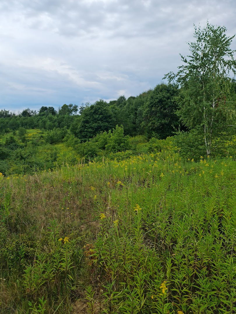 Permaculture and Biodiversity Garden